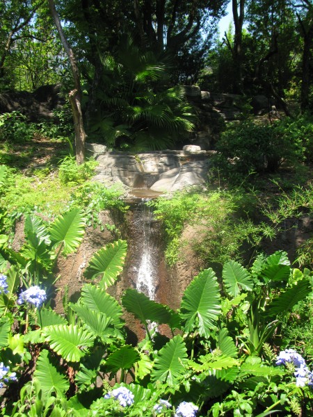 Animal Kingdom 081.jpg